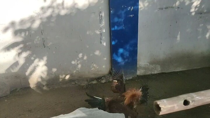 exercise mga bro hehehe