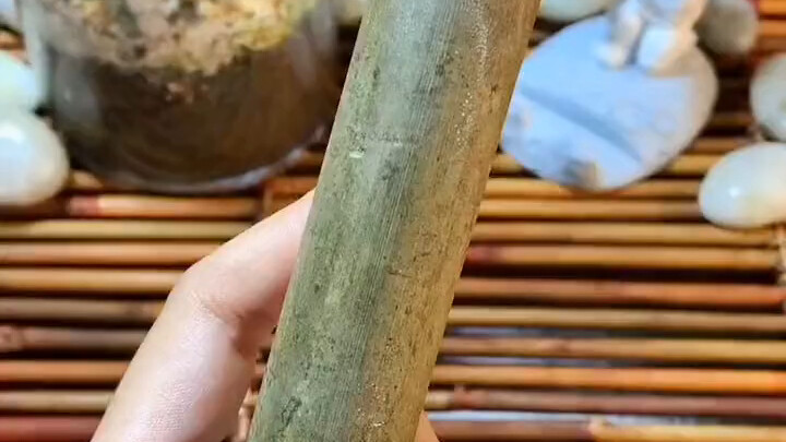 俩小老头：你礼貌吗？