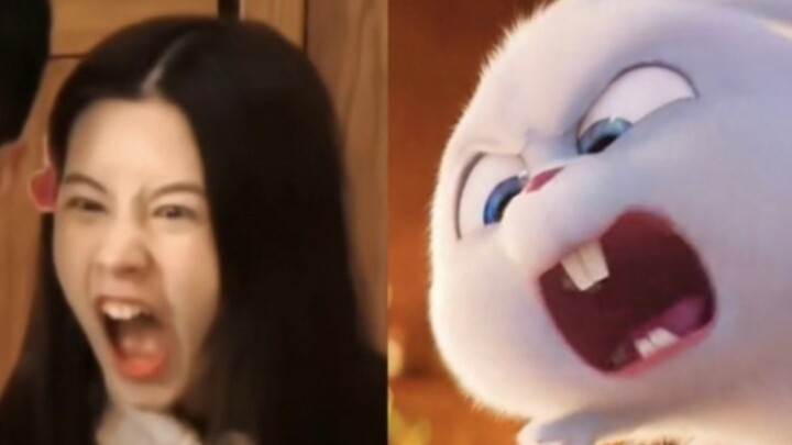 Cảnh sát thỏ phù hợp hơn với vóc dáng của trẻ em Trung Quốc!