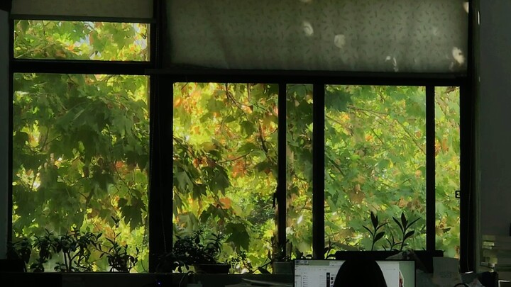 INFP Diary | The wind has started to blow… It turns out I always wanted that window seat back in hig