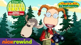 Watch Movie : The wild thornberrys 2002 Trailer : link in the  description: