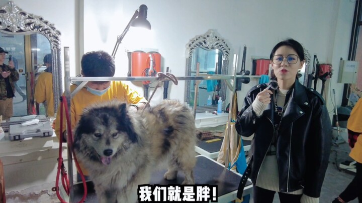 Hehe, the Weight Loss Chronicles | Episode 1