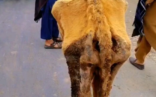 Holy crap, this is insane!