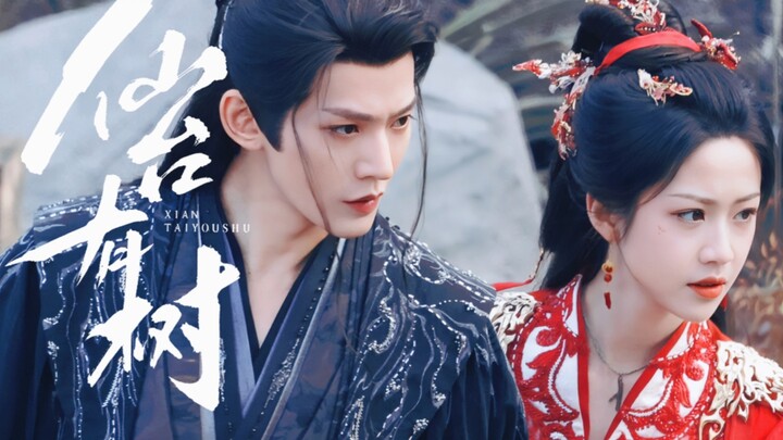 Sendai có cây｜Duyên lành đã định từ kiếp trước, mối nhân duyên đời này