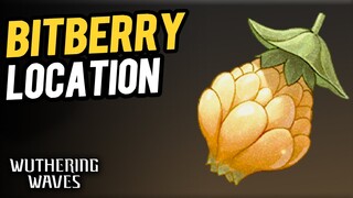 Bitberry Location (Best Route) Wuthering Waves