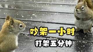 A roundup of animals that are fierce yet adorable when they fight!