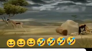 😅😅😆