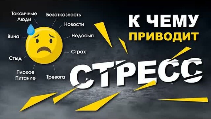 К чему приводит СТРЕСС?