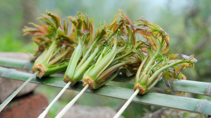 Hanya makan tumis daun tung-tung yang sederhana, enak banget!