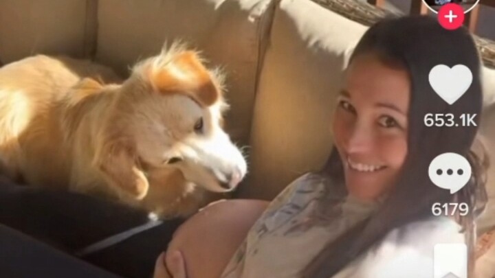 A heartwarming act by the dog that knows there’s a baby in the pregnant woman’s belly