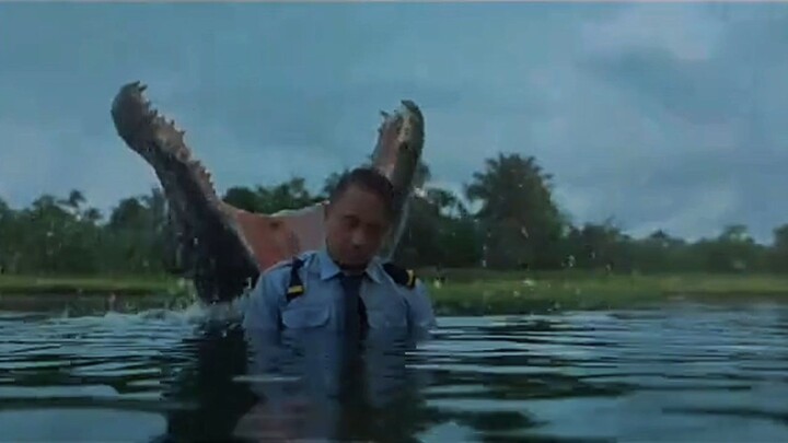 Film Gator Creek (2025)