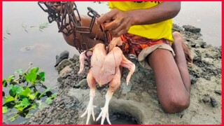 Unbelievable Fishing Technique 10kg Big Monster Catching With Big Chicken / Underground Fishing.