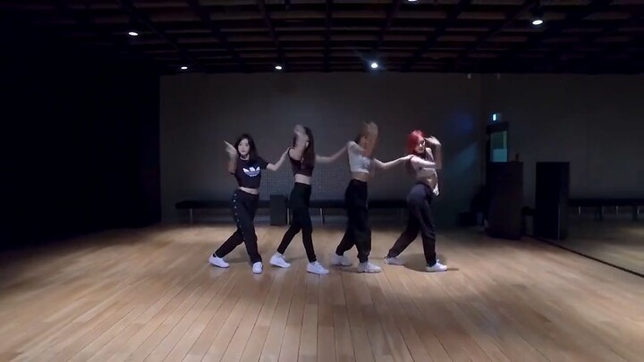 Black pink dance practice Du du du du