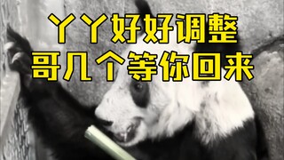 大型纪录片《丫丫传奇》