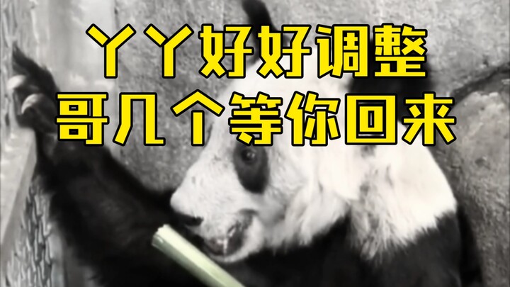大型纪录片《丫丫传奇》