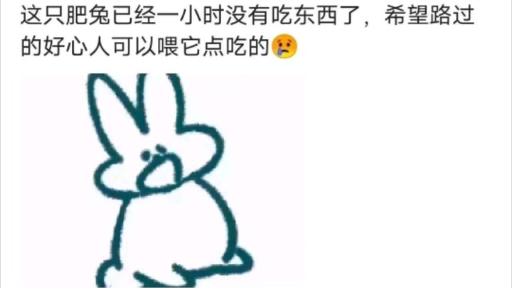 Cute Fat Rabbit Eating Post