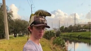 I thought it was a pet