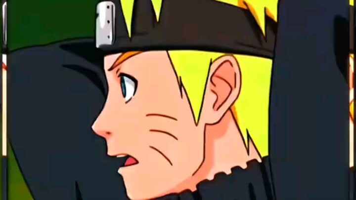 my ferbret animé