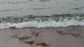 海的对面是什么