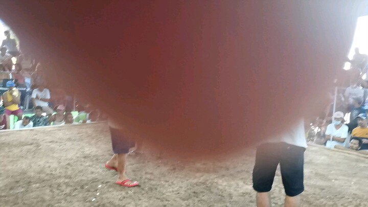 11k parada(tibay ng manok nmin) 2nd fight #win