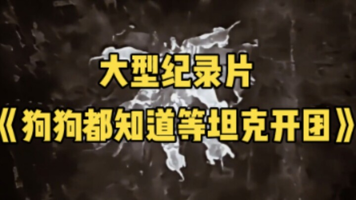 大型纪录片《狗狗都知道等坦克来才开团》