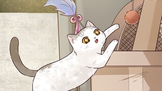 ما ترفضه القطط المنزلية هو كنز حقيقي بالنسبة للقطط الضالة الصغيرة