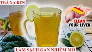 TRỊ DỨT ĐIỂM GAN NHIỄM MỠ, MÁU NHIỄM MỠ - TRÀ XẠ ĐEN VÀ CÔNG DỤNG TUYỆT VỜI CỦA XẠ ĐEN