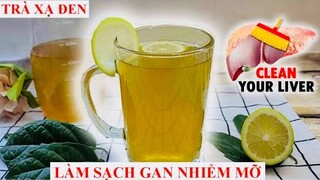 TRỊ DỨT ĐIỂM GAN NHIỄM MỠ, MÁU NHIỄM MỠ - TRÀ XẠ ĐEN VÀ CÔNG DỤNG TUYỆT VỜI CỦA XẠ ĐEN