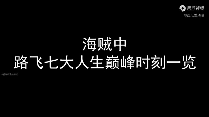 路飞七大后宫一览