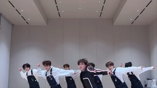 240126 SEVENTEEN 李灿DINO plot_twist 零站