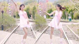 [Màn hình dọc]Sakura Girl❤apink-nonono