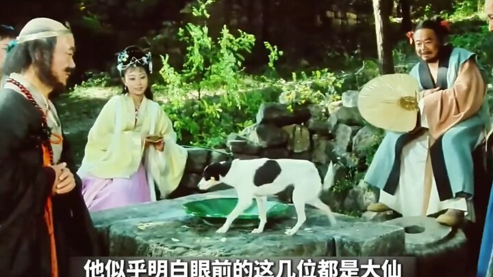 If you’re eaten by a deity, you can be reincarnated as a human—lucky stray dog receives enlightenmen