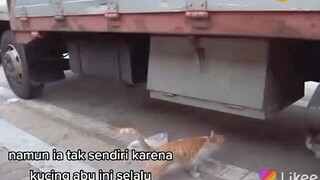 Sedihhh 😢😿😿