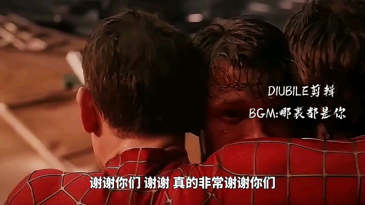 “小蜘蛛失去了梅姨，同时最重要的朋友和爱人以及全世界都忘了他”