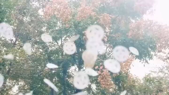 #หนุ่มยากจนย้อนเวลาสู่ยุคกันดารพร้อมระบบ VIPเขาช่วยน้องสาว5คนให้พ้นความหิวและความยากจน.