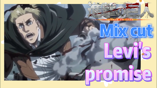 [Attack on Titan]  Mix Cut |Levi's promise