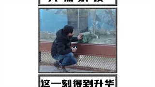 这一刻，就是动物园存在的意义吧！