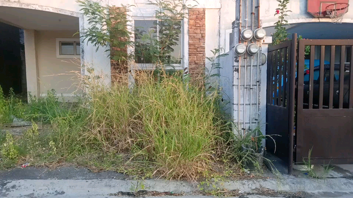 TIGNAN NYO MABUTI ANG DAMI NILA