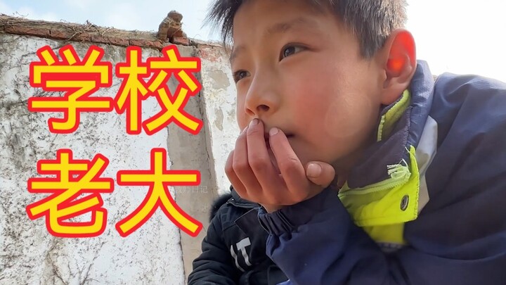 我只是想当个帮主，我有什么错！