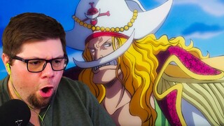 The Whitebeard Pirates Cast Ashore! One Piece Reaction