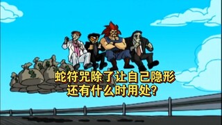 【成龙历险记】蛇符咒除了让自己隐形，还有什么时用处？