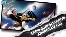 About The Spike Volley Ball Story