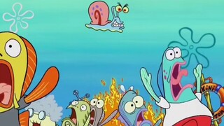 The reason why Squidward is so popular is that Snail can talk?