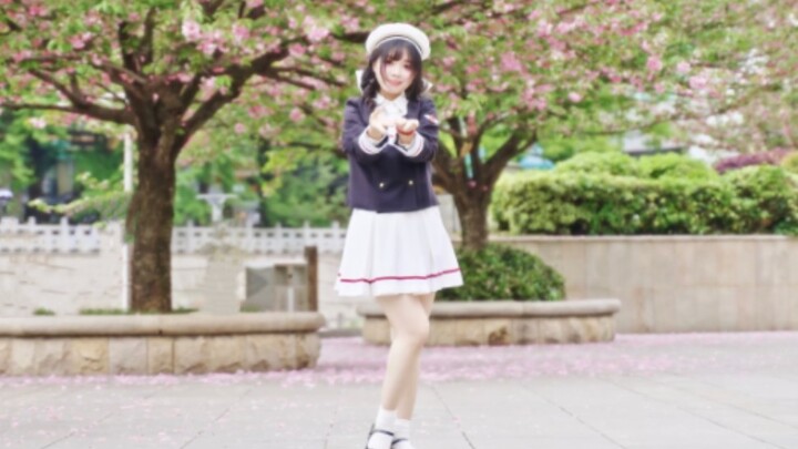 [Meow Jam] Cardinal Sakura op|Original choreography ✿ CLEAR[Fixed camera]