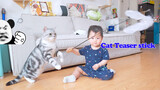 Nut cats-When human baby learns to use cat teaser