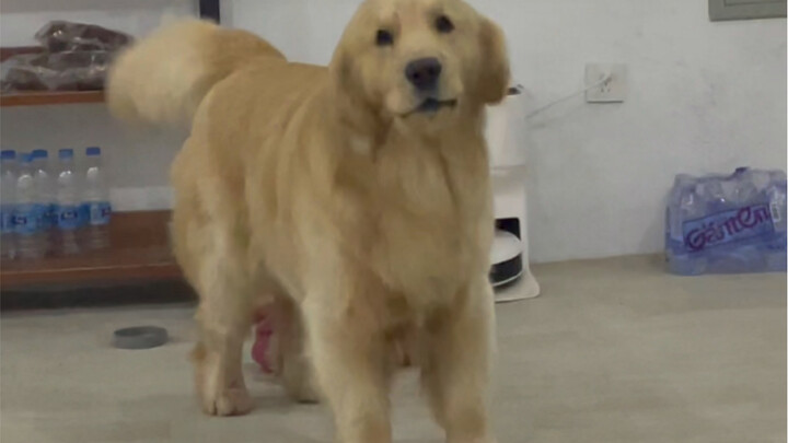 Hôm nay chỉ muốn chửi vài câu.