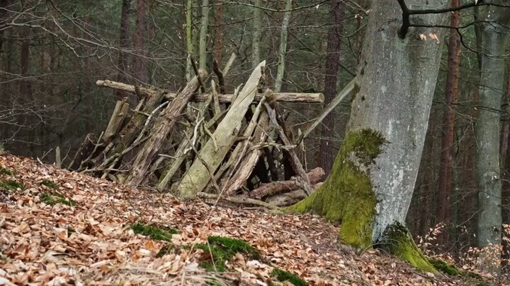 _️ DIY Survival Shelters_ Quick & Efficient! ️