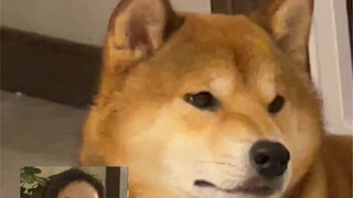 ابن أمي الكبير (كأس السيف في الوادي)