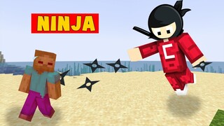 Minecraft Nhưng Tôi Là Ninja