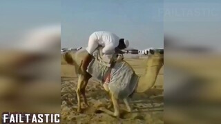 Funny Arab Fails Compilation 2016 - YouTube Tiktok Complication
